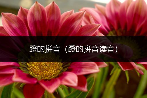 蹬的拼音(蹬的拼音读音)