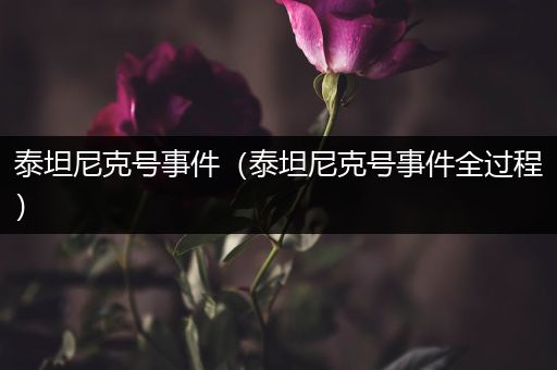 泰坦尼克号事件(泰坦尼克号事件全过程)