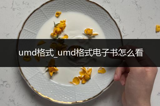 umd格式_umd格式电子书怎么看