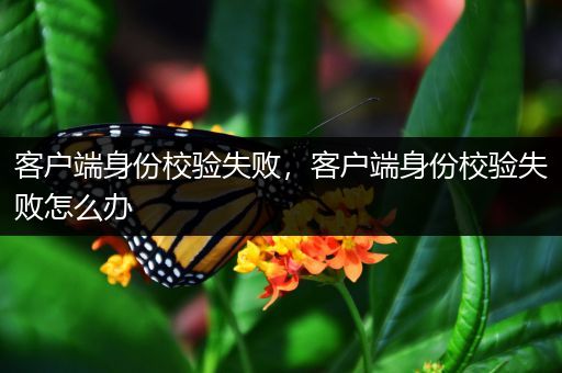 客户端身份校验失败,客户端身份校验失败怎么办