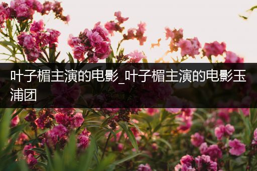 叶子楣主演的电影_叶子楣主演的电影玉浦团