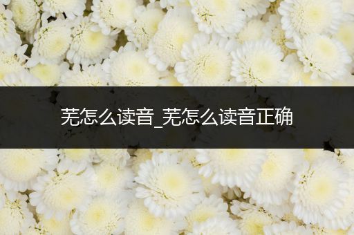 芜怎么读音_芜怎么读音正确
