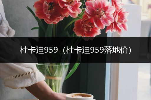 杜卡迪959(杜卡迪959落地价)