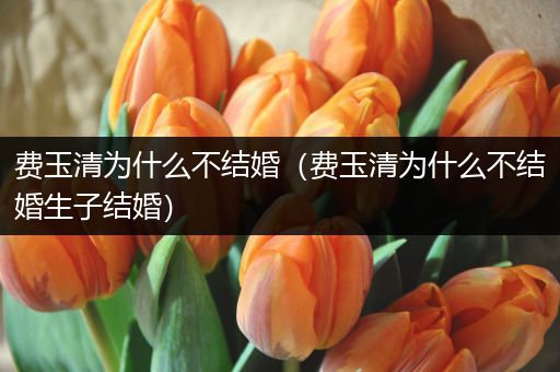 费玉清为什么不结婚(费玉清为什么不结婚生子结婚)