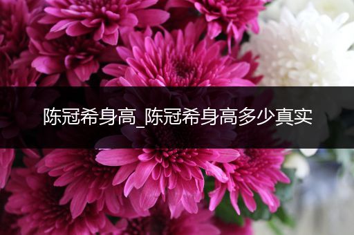 陈冠希身高_陈冠希身高多少真实