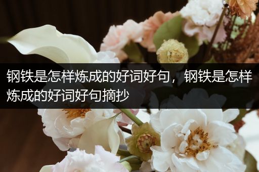 钢铁是怎样炼成的好词好句,钢铁是怎样炼成的好词好句摘抄