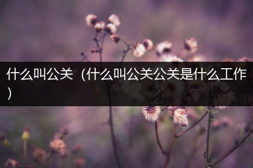 什么叫公关(什么叫公关公关是什么工作)