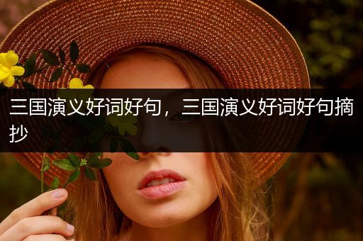 三国演义好词好句,三国演义好词好句摘抄