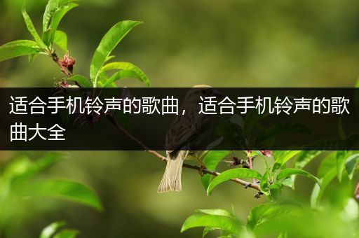 适合手机铃声的歌曲,适合手机铃声的歌曲大全