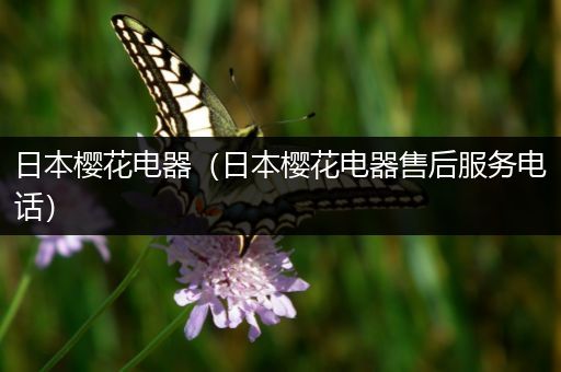 日本樱花电器(日本樱花电器售后服务电话)