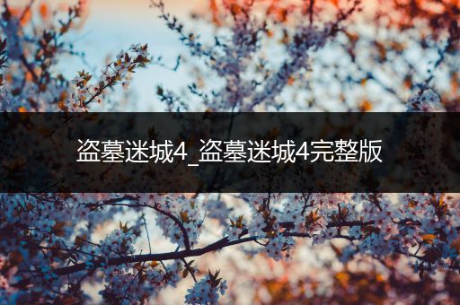 盗墓迷城4_盗墓迷城4完整版