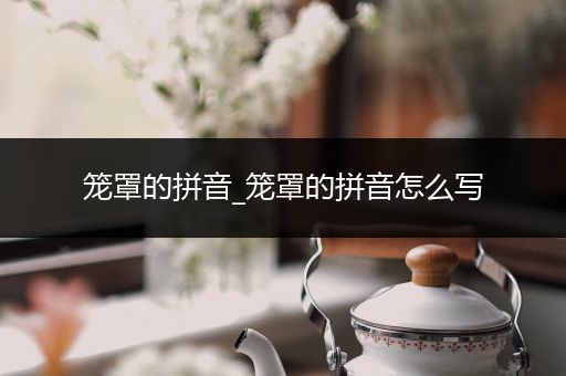 笼罩的拼音_笼罩的拼音怎么写