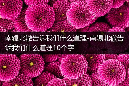 南辕北辙告诉我们什么道理-南辕北辙告诉我们什么道理10个字