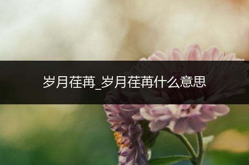 岁月荏苒_岁月荏苒什么意思