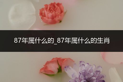 87年属什么的_87年属什么的生肖