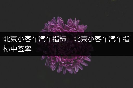 北京小客车汽车指标,北京小客车汽车指标中签率