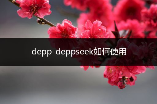 depp-deppseek如何使用