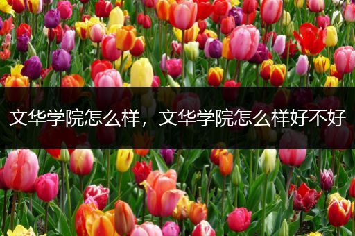 文华学院怎么样,文华学院怎么样好不好