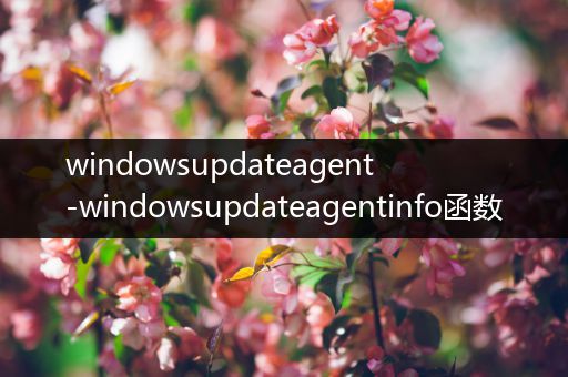windowsupdateagent-windowsupdateagentinfo函数