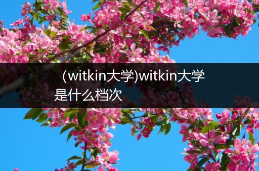 (witkin大学)witkin大学是什么档次