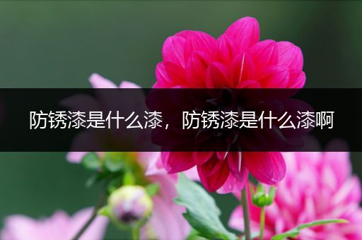 防锈漆是什么漆,防锈漆是什么漆啊