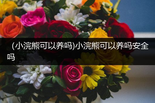 (小浣熊可以养吗)小浣熊可以养吗安全吗