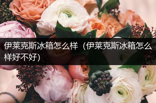 伊莱克斯冰箱怎么样(伊莱克斯冰箱怎么样好不好)