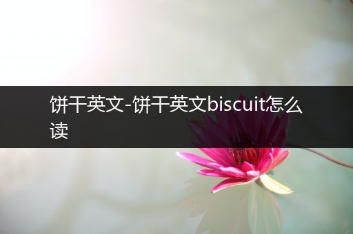 饼干英文-饼干英文biscuit怎么读