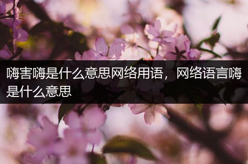 嗨害嗨是什么意思网络用语,网络语言嗨是什么意思