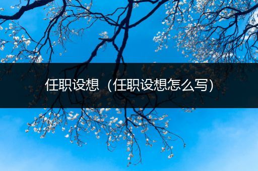 任职设想(任职设想怎么写)