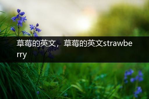 草莓的英文,草莓的英文strawberry