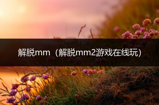 解脱mm(解脱mm2游戏在线玩)