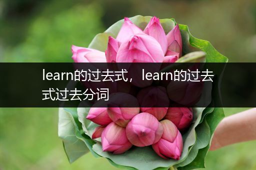 learn的过去式,learn的过去式过去分词