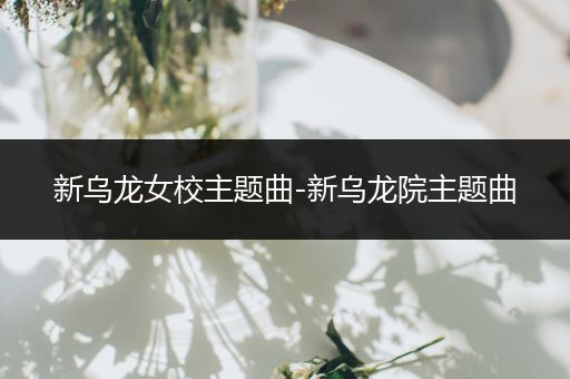 新乌龙女校主题曲-新乌龙院主题曲