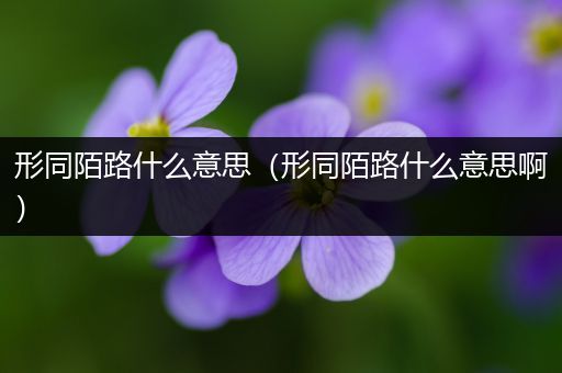 形同陌路什么意思（形同陌路什么意思啊）