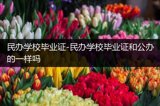 民办学校毕业证-民办学校毕业证和公办的一样吗