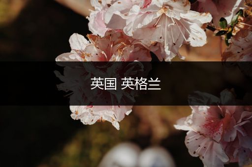 英国 英格兰