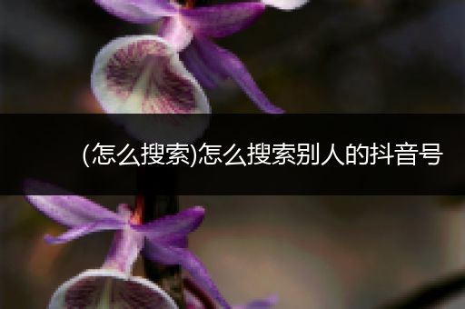 (怎么搜索)怎么搜索别人的抖音号