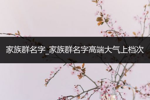 家族群名字_家族群名字高端大气上档次