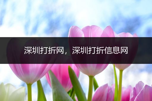 深圳打折网,深圳打折信息网