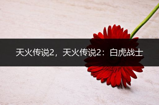 天火传说2,天火传说2:白虎战士
