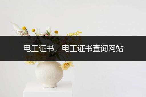 电工证书,电工证书查询网站