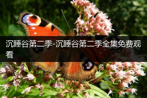 沉睡谷第二季-沉睡谷第二季全集免费观看