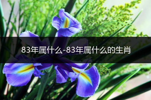 83年属什么-83年属什么的生肖