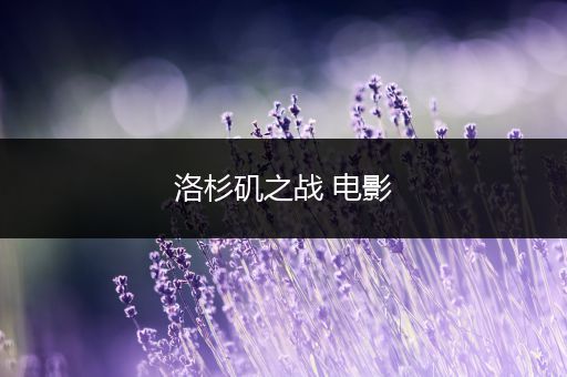 洛杉矶之战 电影