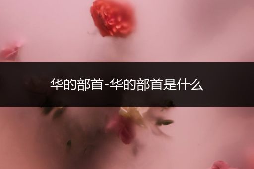 华的部首-华的部首是什么