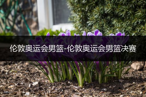 伦敦奥运会男篮-伦敦奥运会男篮决赛