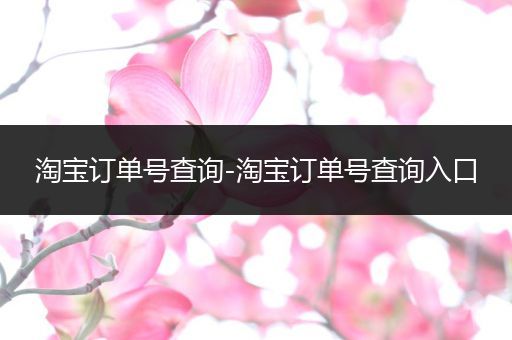 淘宝订单号查询-淘宝订单号查询入口