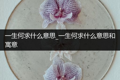 一生何求什么意思_一生何求什么意思和寓意