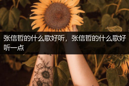 张信哲的什么歌好听,张信哲的什么歌好听一点